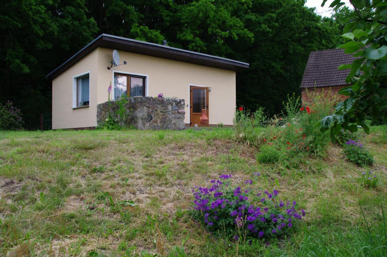 Bungalow Am Forsthaus Stagniess ユッケリッツ エクステリア 写真